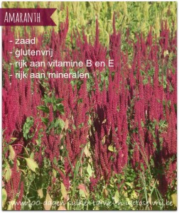 amaranth-uitleg