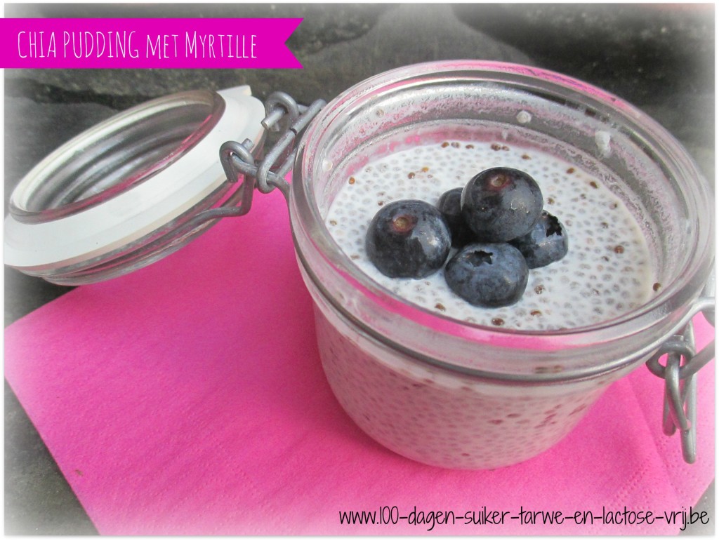 Chia pudding met blauwe bosbes