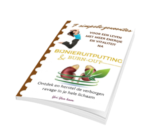 Gratis e-boek PDF bijnieruitputting en burn-out