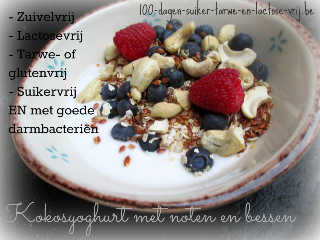 Kokosyoghurt met bessen en noten